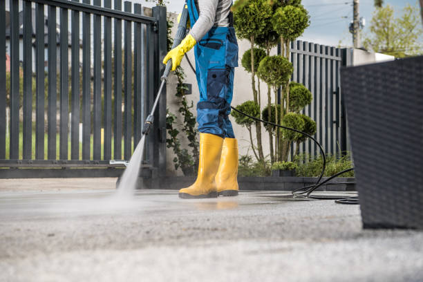 Best Roof Washing  in Coaldale, PA